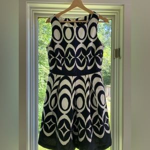 Navy and white A-line Limited dress